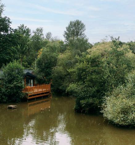 Brokerswood Peaceful Lodge