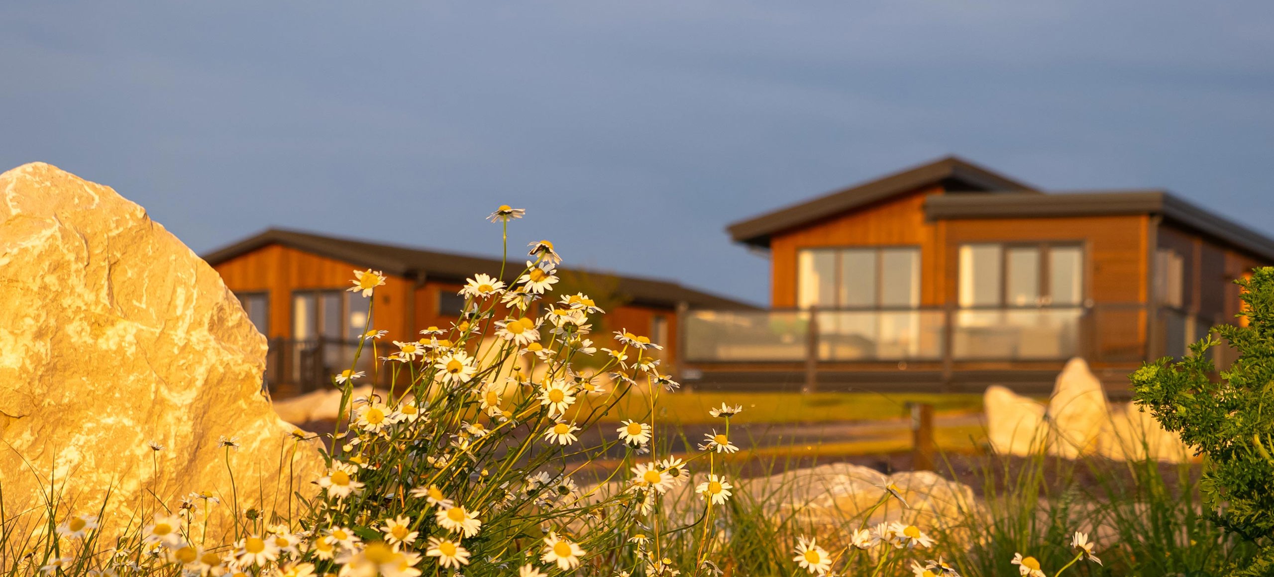 Delamere Lodges In Spring