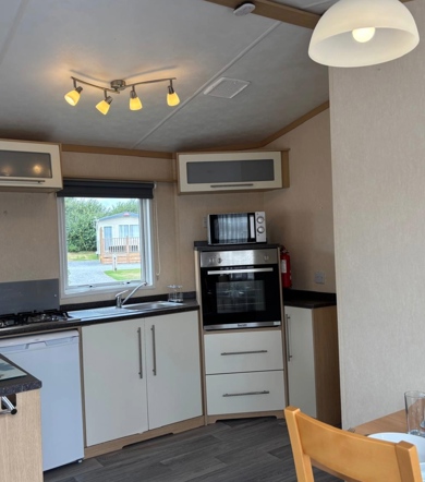 Carnaby Melrose, kitchen at Dartmoor View