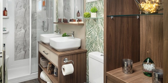 Carnaby Langham, shower room with cabinet at Delamere