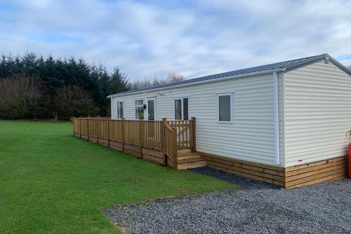 Carnaby Oakdale side view at Dartmoor view 