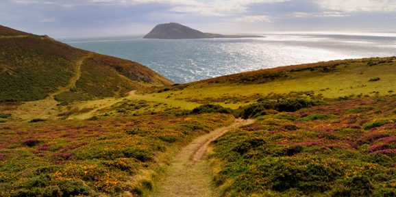 Crugan Local Area Bardsey Island From Hills Above Aberdaron