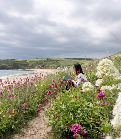 A lady sitting among pink and white coastal flowers reading with views of Praa Sands beach near Praa Sand Holiday Park