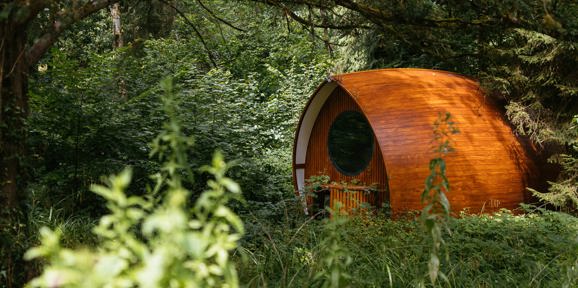 Brokerswood Pod In Woodland Setting