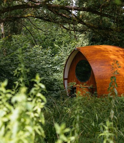 Brokerswood Pod In Woodland Setting