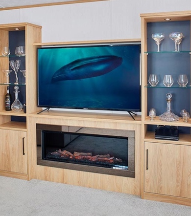 Carnaby Chantry, entertainment unit in lounge at Brokerswood