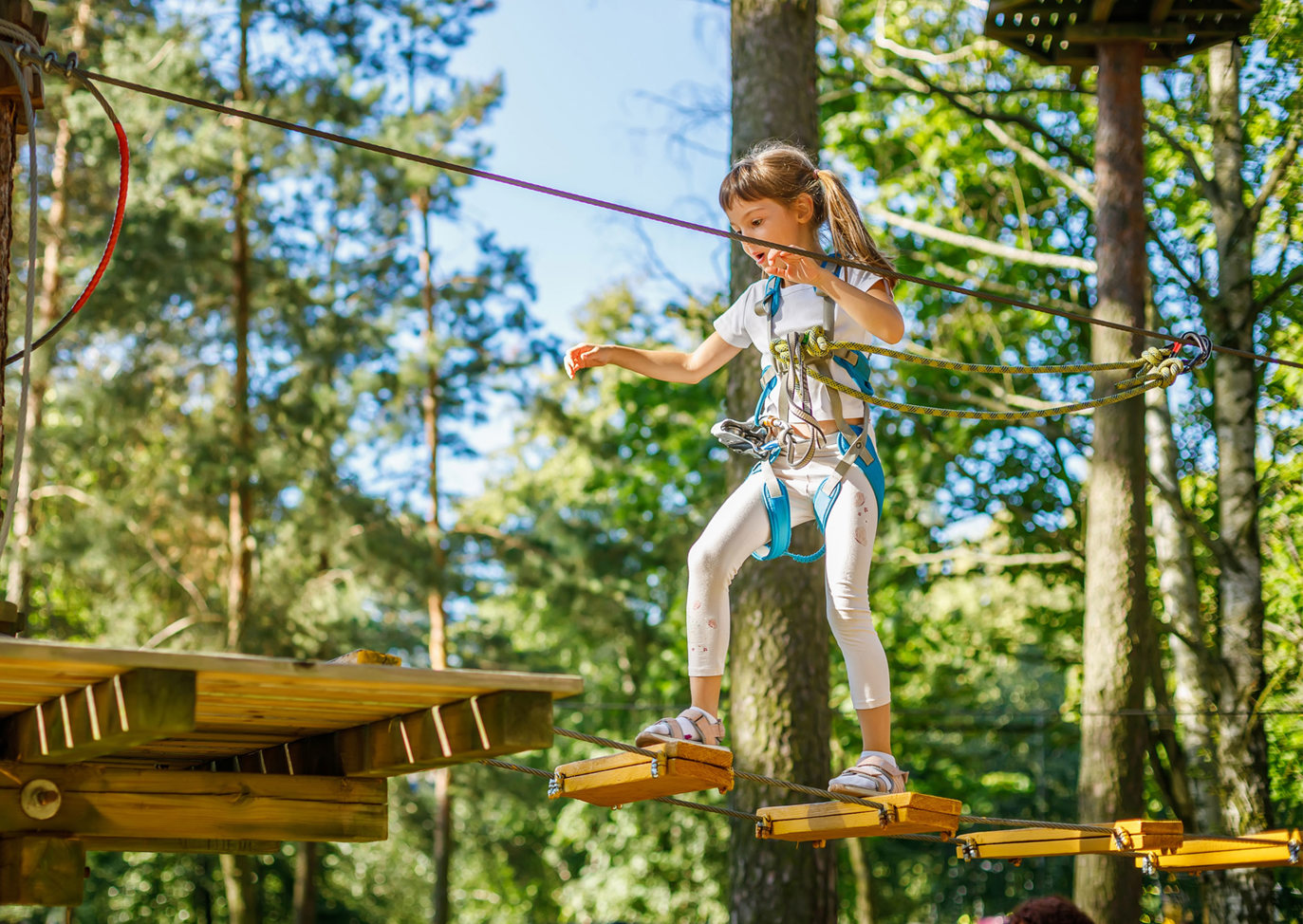 Delamere Local Area High Ropes
