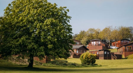 Gorgeous large tree overlooking a large grassed area, with stunning holiday homes in the background