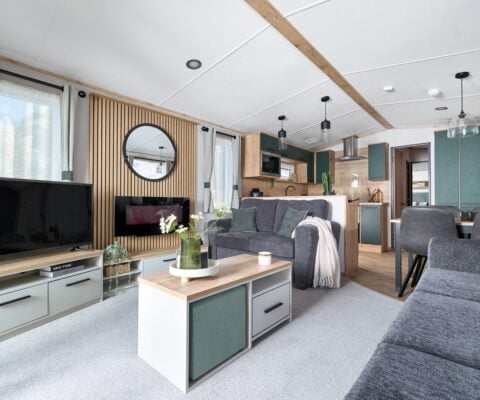 ABI St David living area